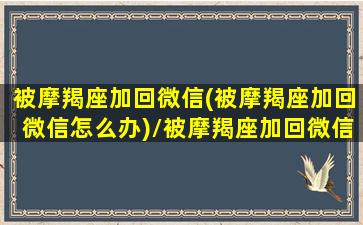 被摩羯座加回微信(被摩羯座加回微信怎么办)/被摩羯座加回微信(被摩羯座加回微信怎么办)-我的网站