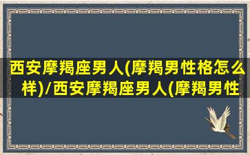 西安摩羯座男人(摩羯男性格怎么样)/西安摩羯座男人(摩羯男性格怎么样)-我的网站