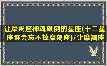 让摩羯座神魂颠倒的星座(十二星座谁会忘不掉摩羯座)/让摩羯座神魂颠倒的星座(十二星座谁会忘不掉摩羯座)-我的网站