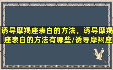 诱导摩羯座表白的方法，诱导摩羯座表白的方法有哪些/诱导摩羯座表白的方法，诱导摩羯座表白的方法有哪些-我的网站