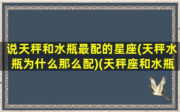 说天秤和水瓶最配的星座(天秤水瓶为什么那么配)(天秤座和水瓶座配不配做情侣)