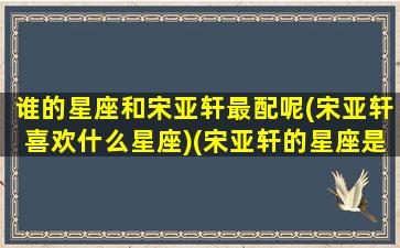 谁的星座和宋亚轩最配呢(宋亚轩喜欢什么星座)(宋亚轩的星座是什么星座)