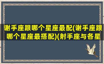 谢手座跟哪个星座最配(谢手座跟哪个星座最搭配)(射手座与各星座关系表)