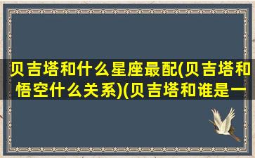 贝吉塔和什么星座最配(贝吉塔和悟空什么关系)(贝吉塔和谁是一对)