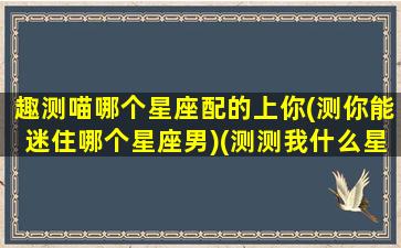 趣测喵哪个星座配的上你(测你能迷住哪个星座男)(测测我什么星座)