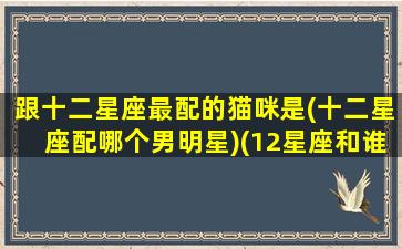 跟十二星座最配的猫咪是(十二星座配哪个男明星)(12星座和谁最配当情侣)