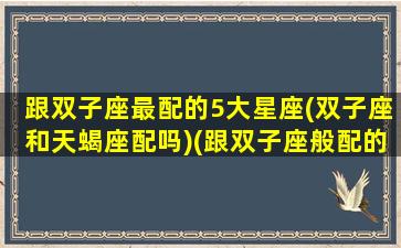 跟双子座最配的5大星座(双子座和天蝎座配吗)(跟双子座般配的星座)