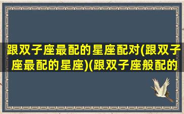 跟双子座最配的星座配对(跟双子座最配的星座)(跟双子座般配的星座)