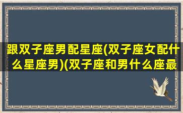 跟双子座男配星座(双子座女配什么星座男)(双子座和男什么座最配对)