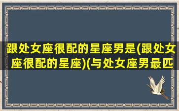 跟处女座很配的星座男是(跟处女座很配的星座)(与处女座男最匹配的是什么星座)