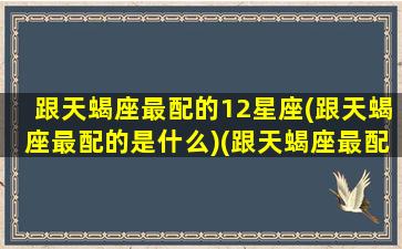 跟天蝎座最配的12星座(跟天蝎座最配的是什么)(跟天蝎座最配的是哪个星座)