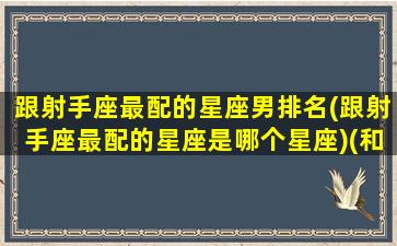 跟射手座最配的星座男排名(跟射手座最配的星座是哪个星座)(和射手座最搭配的星座)