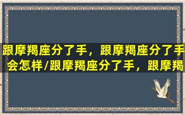 跟摩羯座分了手，跟摩羯座分了手会怎样/跟摩羯座分了手，跟摩羯座分了手会怎样-我的网站