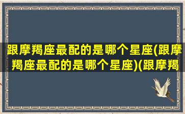 跟摩羯座最配的是哪个星座(跟摩羯座最配的是哪个星座)(跟摩羯座最配的星座配对)