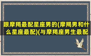 跟摩羯最配星座男的(摩羯男和什么星座最配)(与摩羯座男生最配的星座)