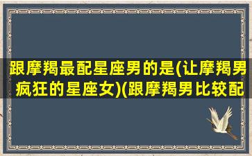 跟摩羯最配星座男的是(让摩羯男疯狂的星座女)(跟摩羯男比较配的星座)