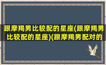 跟摩羯男比较配的星座(跟摩羯男比较配的星座)(跟摩羯男配对的星座配对)