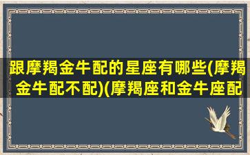 跟摩羯金牛配的星座有哪些(摩羯金牛配不配)(摩羯座和金牛座配不配当朋友)