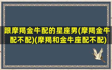 跟摩羯金牛配的星座男(摩羯金牛配不配)(摩羯和金牛座配不配)