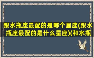 跟水瓶座最配的是哪个星座(跟水瓶座最配的是什么星座)(和水瓶座最配的星座是哪个)