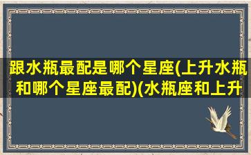 跟水瓶最配是哪个星座(上升水瓶和哪个星座最配)(水瓶座和上升水瓶座的区别)