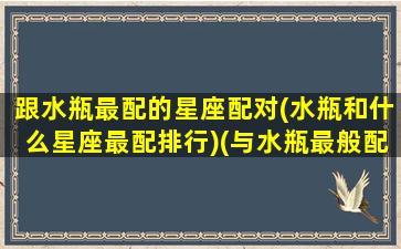 跟水瓶最配的星座配对(水瓶和什么星座最配排行)(与水瓶最般配的星座)