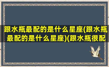 跟水瓶最配的是什么星座(跟水瓶最配的是什么星座)(跟水瓶很配的星座)