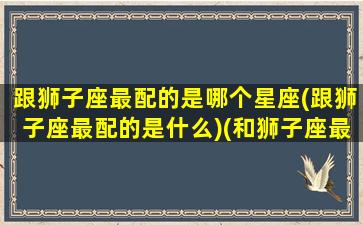 跟狮子座最配的是哪个星座(跟狮子座最配的是什么)(和狮子座最匹配的星座是什么)