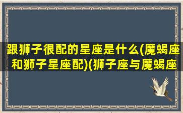 跟狮子很配的星座是什么(魔蝎座和狮子星座配)(狮子座与魔蝎座配吗)