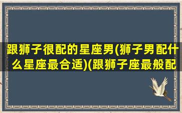 跟狮子很配的星座男(狮子男配什么星座最合适)(跟狮子座最般配的星座)