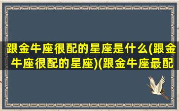 跟金牛座很配的星座是什么(跟金牛座很配的星座)(跟金牛座最配的星座配对)