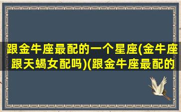 跟金牛座最配的一个星座(金牛座跟天蝎女配吗)(跟金牛座最配的星座配对)