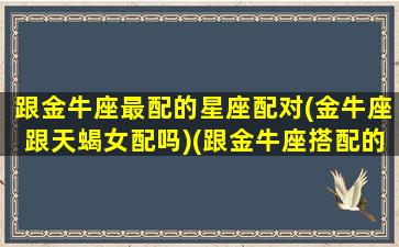 跟金牛座最配的星座配对(金牛座跟天蝎女配吗)(跟金牛座搭配的星座)