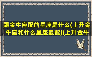 跟金牛座配的星座是什么(上升金牛座和什么星座最配)(上升金牛座和什么上升星座最配)