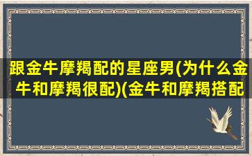 跟金牛摩羯配的星座男(为什么金牛和摩羯很配)(金牛和摩羯搭配吗)