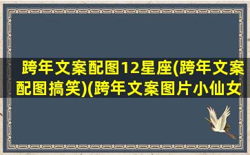 跨年文案配图12星座(跨年文案配图搞笑)(跨年文案图片小仙女)