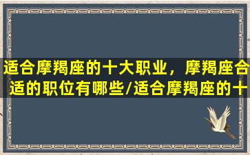 适合摩羯座的十大职业，摩羯座合适的职位有哪些/适合摩羯座的十大职业，摩羯座合适的职位有哪些-我的网站