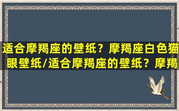 适合摩羯座的壁纸？摩羯座白色猫眼壁纸/适合摩羯座的壁纸？摩羯座白色猫眼壁纸-我的网站