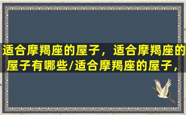 适合摩羯座的屋子，适合摩羯座的屋子有哪些/适合摩羯座的屋子，适合摩羯座的屋子有哪些-我的网站