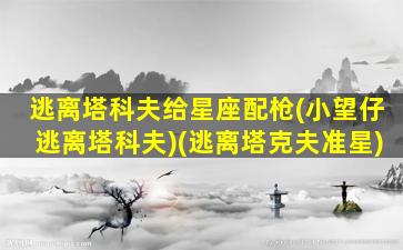 逃离塔科夫给星座配枪(小望仔逃离塔科夫)(逃离塔克夫准星)