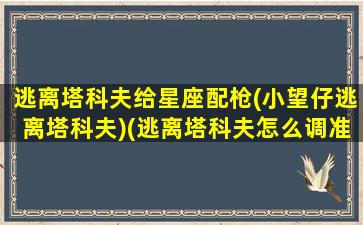 逃离塔科夫给星座配枪(小望仔逃离塔科夫)(逃离塔科夫怎么调准星样式)