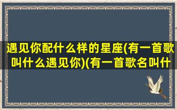 遇见你配什么样的星座(有一首歌叫什么遇见你)(有一首歌名叫什么遇见你)