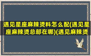 遇见星座麻辣烫料怎么配(遇见星座麻辣烫总部在哪)(遇见麻辣烫加盟费用)