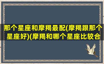 那个星座和摩羯最配(摩羯跟那个星座好)(摩羯和哪个星座比较合适)