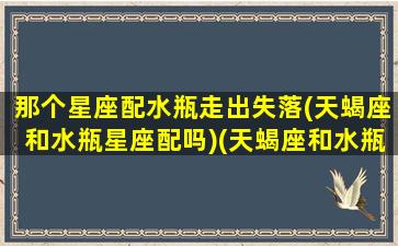 那个星座配水瓶走出失落(天蝎座和水瓶星座配吗)(天蝎座和水瓶什么星座最配)