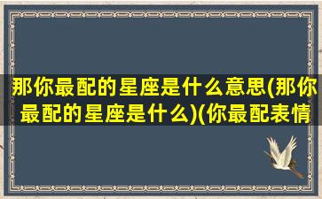 那你最配的星座是什么意思(那你最配的星座是什么)(你最配表情包)