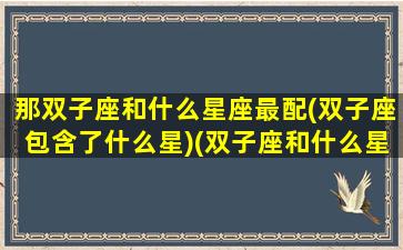 那双子座和什么星座最配(双子座包含了什么星)(双子座和什么星座最配呀)