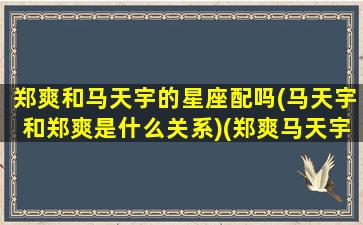 郑爽和马天宇的星座配吗(马天宇和郑爽是什么关系)(郑爽马天宇曾经有关系)