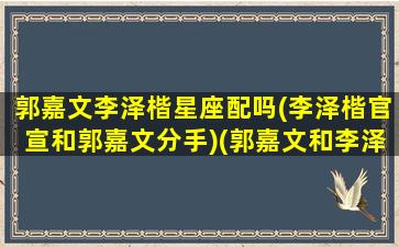 郭嘉文李泽楷星座配吗(李泽楷官宣和郭嘉文分手)(郭嘉文和李泽楷怎么认识的)