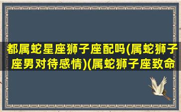 都属蛇星座狮子座配吗(属蛇狮子座男对待感情)(属蛇狮子座致命弱点)